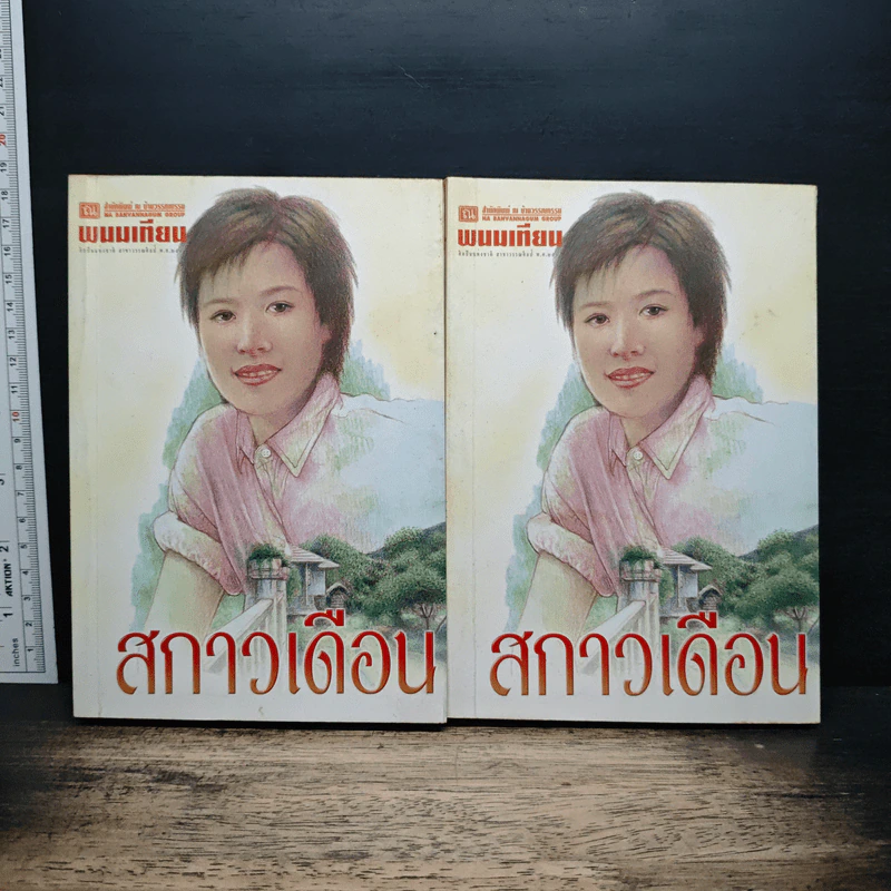 สกาวเดือน 2 เล่มจบ - พนมเทียน รูปที่ 1