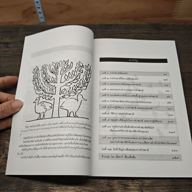 วิธีการทำสมาธิ Book of Meditations - ครูลอเรนซ์ ลีชาน รูปที่ 7