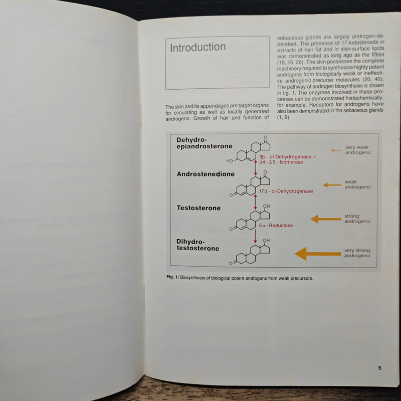 Cyproterone Acetate for the Treatment of Androgenisation - F. Neumann รูปที่ 7