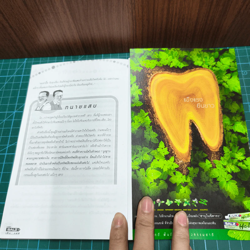 แก๊กซ่าทนายแสบ รูปที่ 9