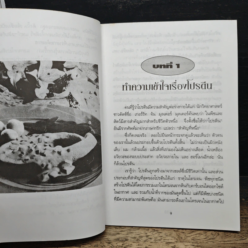 โปรตีนบำบัดโรค กินเนื้อ กินผัก กินอย่างไรได้ประโยชน์สูงสุด - ปาริชาติ สักกะทำนุ รูปที่ 7