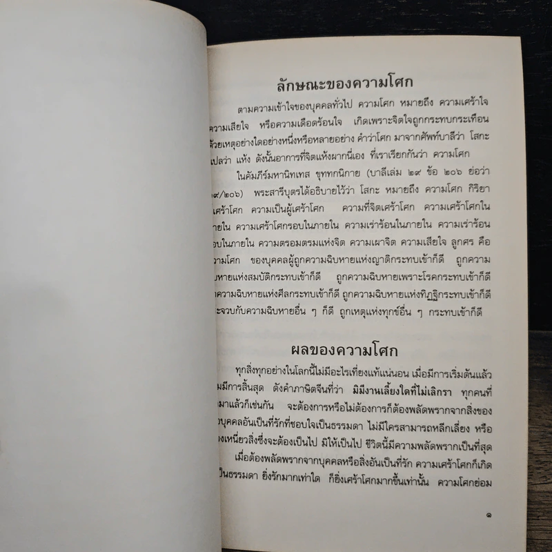 พุทธวิธีคลายโศก - ธมมวฑโฒ ภิกขุ รูปที่ 7