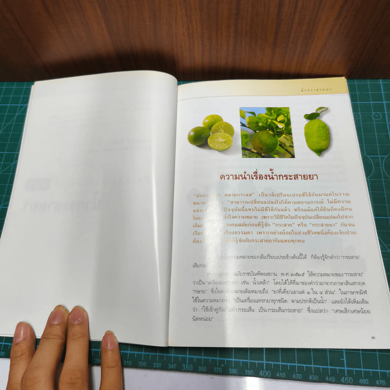 คู่มือเภสัชกรรมแผนไทย เล่ม 1-4 - ชยันต์ พิเชียรสุนทร, วิเชียร จีรวงส์ รูปที่ 7