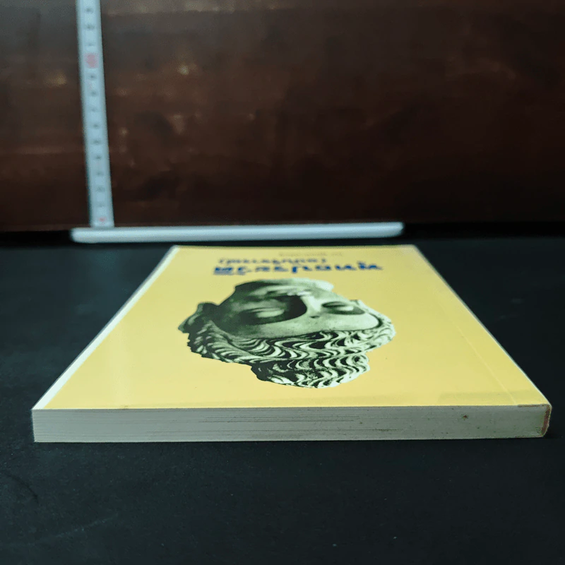 พุทธประวัติ (ฉบับวิจารณ์) - พุทธทาสิกขุ รูปที่ 5