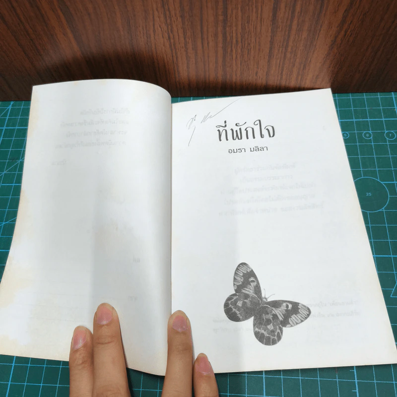 ที่พักใจ - อมรา มลิลา รูปที่ 6