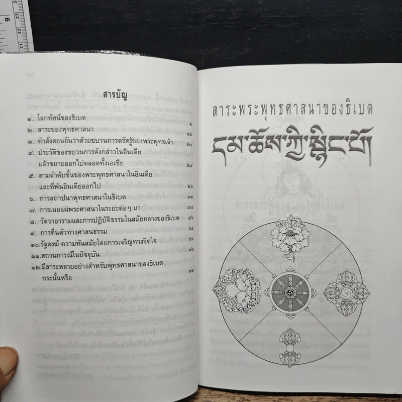 สาระพระพุทธศาสนาของธิเบต - โรเบิร์ต เทอร์แมน รูปที่ 8