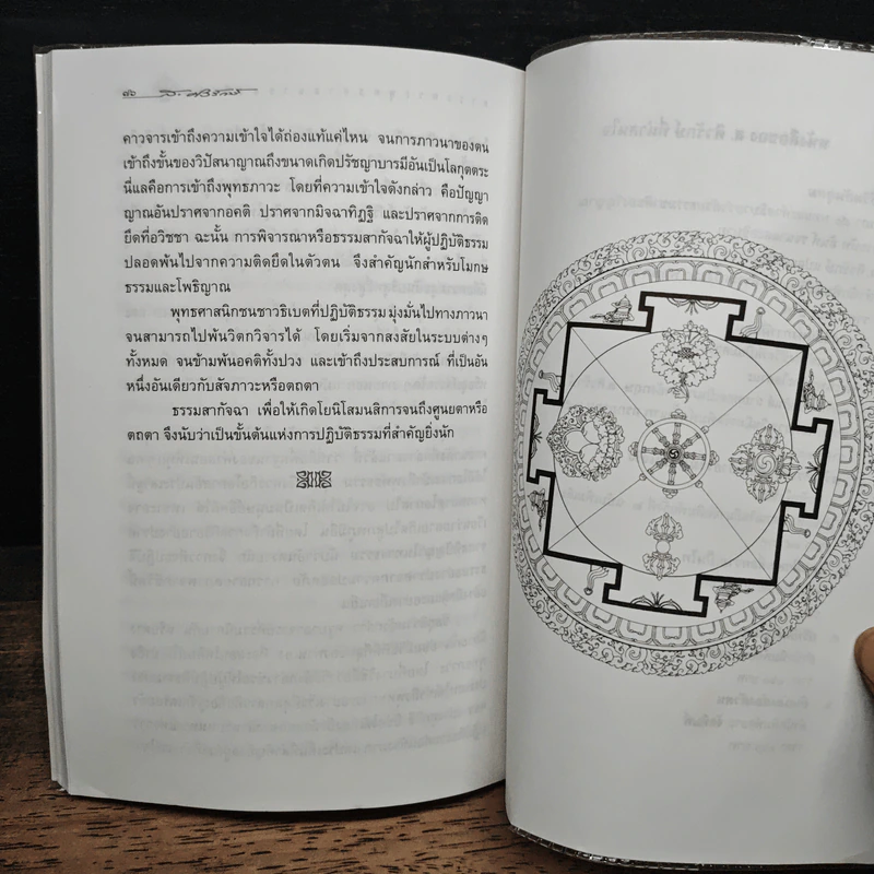 สาระพระพุทธศาสนาของธิเบต - โรเบิร์ต เทอร์แมน รูปที่ 11