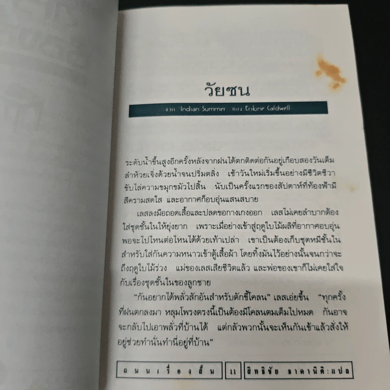 ถนนเรื่องสั้น : บางโฉมหน้าแห่งศิลปะเรื่องเล่า - สิทธิชัย ธาดานิติ รูปที่ 7