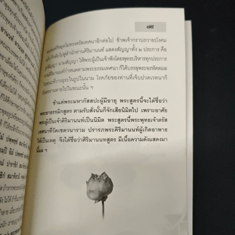 คิริมานนทสูตร ทางสู่พระนิพพาน รูปที่ 9