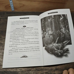 เกร็ดความรู้เร้นลับรอบตัว - พฤฒาจารย์วิพุธโยคะ รัตนรังษี รูปที่ 8