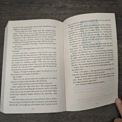 The Scholar - Dervla McTiernan รูปที่ 8