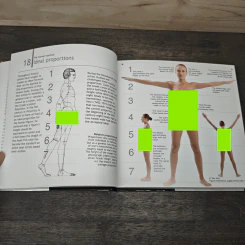 Body Parts - Mitchell Beazley รูปที่ 8
