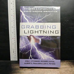 Grabbing Lightning - Gina C. O'Connor