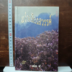 แว่วเสียงสวรรค์ เล่ม 5 รูปที่ 1