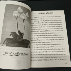 ศรัทรา-ปัญญา รูปที่ 7
