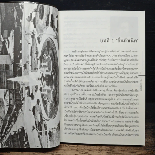 กระตุกหนวดพญามังกร - ธงชัย ลิขิตชลธาร รูปที่ 8