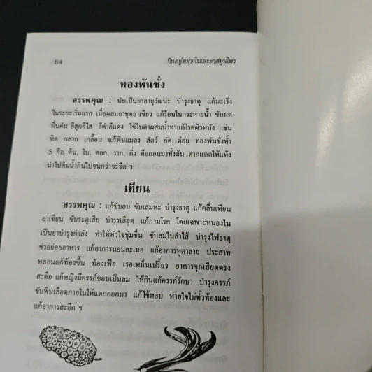 กินอยู่อย่างไรสุขภาพถึงแข็งแรงมีอายุเกิน 100 ปี รูปที่ 8