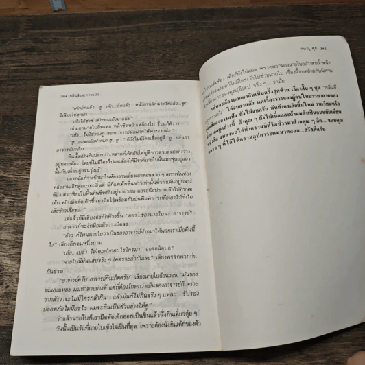กลิ่นสีและกาวแป้ง - พิษณุ ศุภ รูปที่ 8