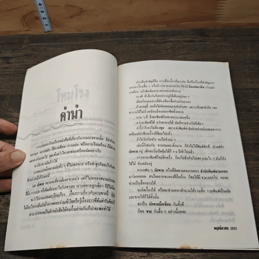 นักขายมือเซียน - ไพบูลย์ สำราญภูติ รูปที่ 6