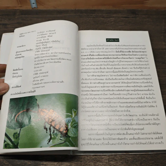 หนังสือ แมลง อาหารมนุษย์ในอนาคต รูปที่ 6