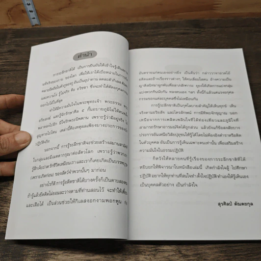 ระลึกชาติ แก้ไขกรรม - สุรศิลป์ ตัณตยกุล รูปที่ 7