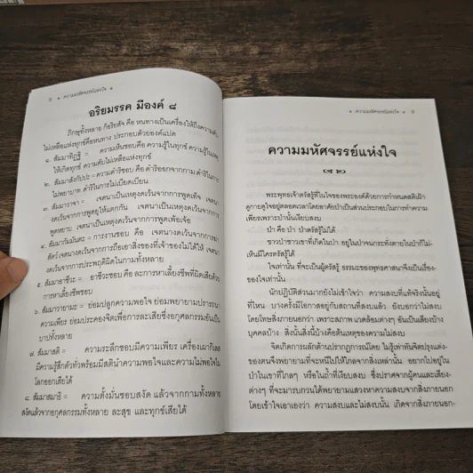มหัศจรรย์แห่งใจ รูปที่ 8