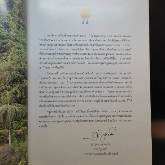 สวนสมเด็จพระศรีนครินทร์ รูปที่ 13