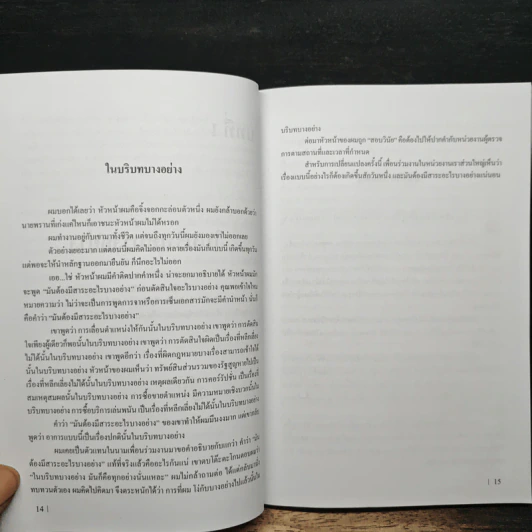 ปาร์ตี้คนเดียว - ศาสตราจารย์ เหลา หม่า รูปที่ 10