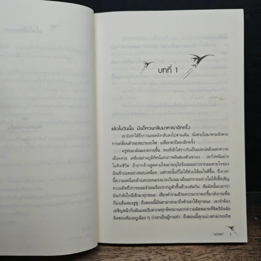 ศิลามังกร - ทิม บาวเลอร์, นารดา รูปที่ 7