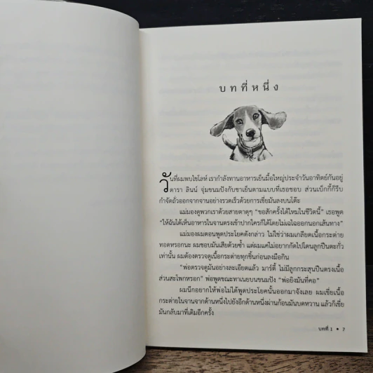 ไชโลห์ เพื่อนรักหูตูบ - ฟิลลิส เรย์โนลด์ส เนย์เลอร์ รูปที่ 7