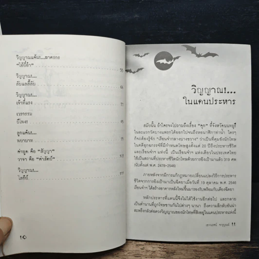 วิญญาณในแดนประหาร - เชาวเรศน์ จารุบุณย์ รูปที่ 9