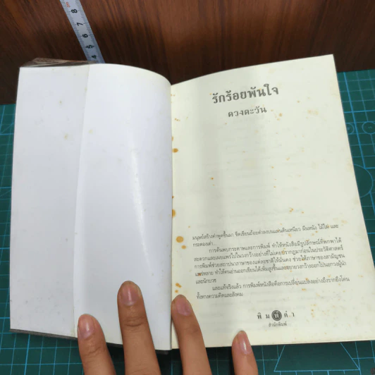 รักร้อยพันใจ - ดวงตะวัน รูปที่ 6