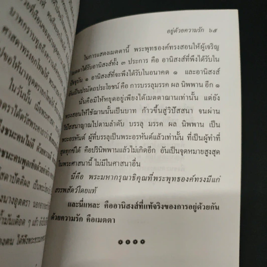 ทานที่มีผลมาก มีอานิสงส์มาก และ อยู่ด้วยความรัก - ประณีต ก้องสมุทร รูปที่ 9