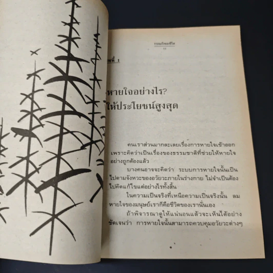 รากแก้วของชีวิต พลังแห่งปัญญา รูปที่ 8