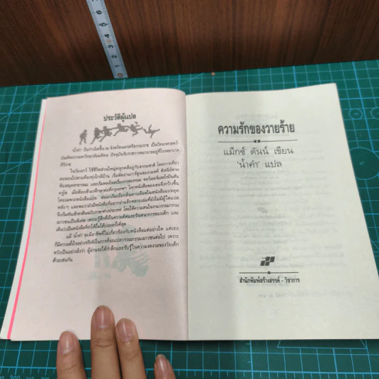 ความรักของวายร้าย รูปที่ 6
