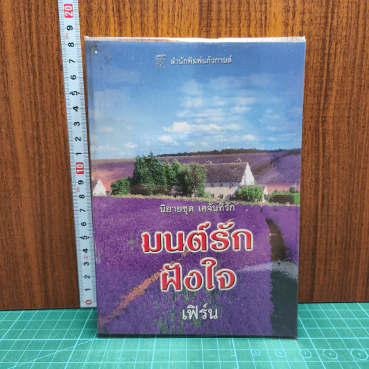 มนต์รักฝังใจ - เฟิร์น รูปที่ 1