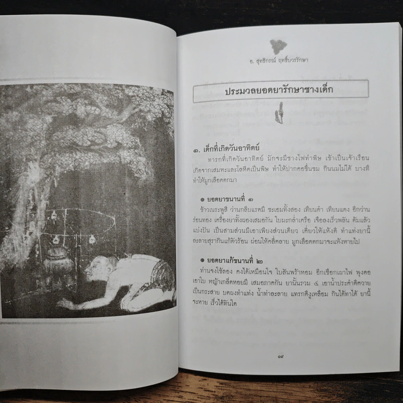 มหัศจรรย์สมุนไพรไทย รูปที่ 13