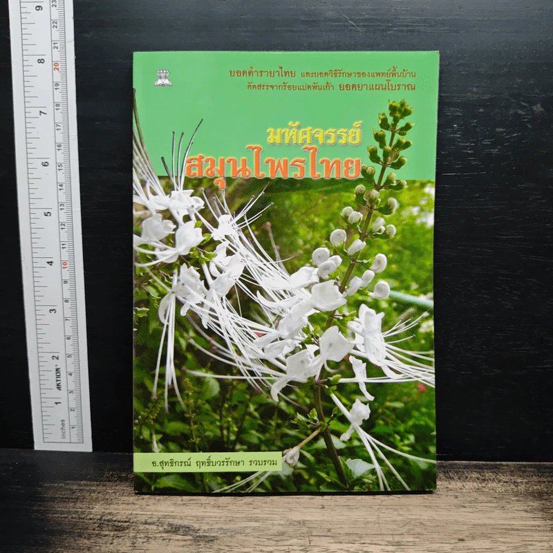 มหัศจรรย์สมุนไพรไทย รูปที่ 1