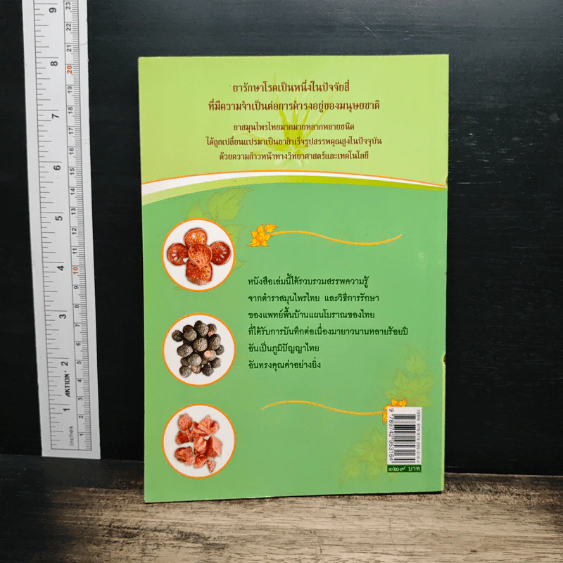 มหัศจรรย์สมุนไพรไทย รูปที่ 2