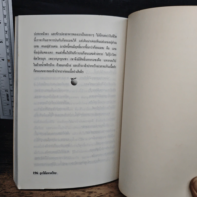 ลูกไม้มหาดไทย - บุญโชค เจียมวิริยะ รูปที่ 8