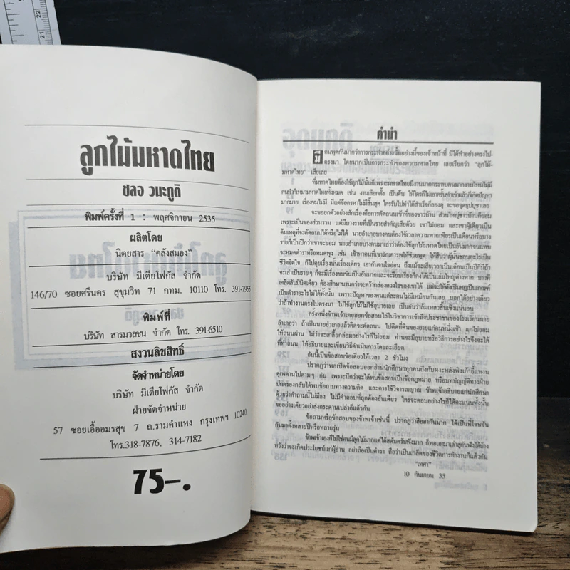 ลูกไม้มหาดไทย - บุญโชค เจียมวิริยะ รูปที่ 6