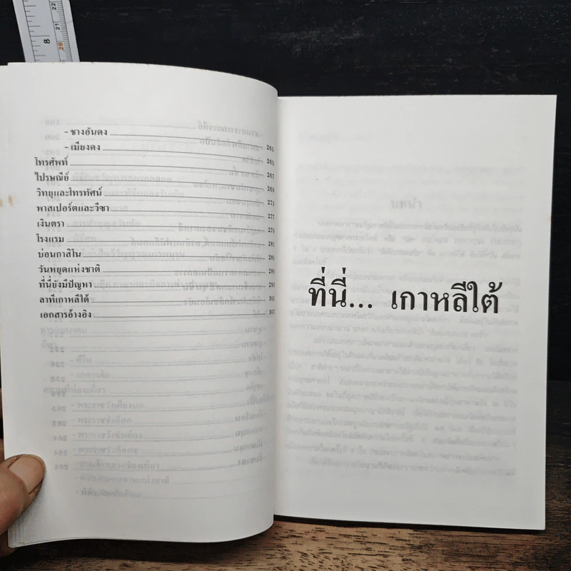 ที่นี่...เกาหลีใต้ - สมปราชญ์ อัมมะพันธุ์ รูปที่ 9