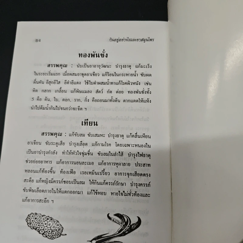 กินอยู่อย่างไรสุขภาพถึงแข็งแรงมีอายุเกิน 100 ปี รูปที่ 8