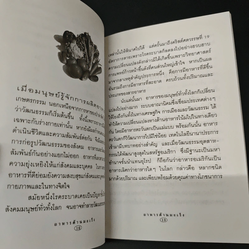 อาหารต้านมะเร็ง - พระไพศาล วิสาโล รูปที่ 8