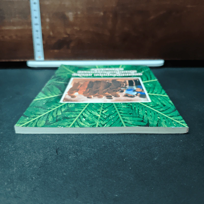 ธรรมปฏิบัติของ อาหมอ ผู้สานต่อเส้นทางธรรม ฉบับรวมเล่ม รูปที่ 5