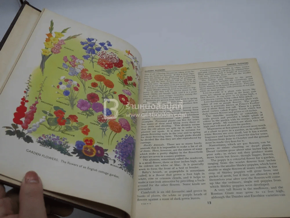 Children's Britannica Volume 6 G-Ha รูปที่ 3
