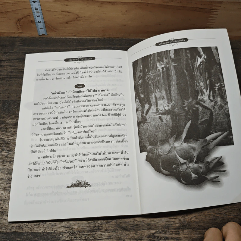 เกร็ดความรู้เร้นลับรอบตัว - พฤฒาจารย์วิพุธโยคะ รัตนรังษี รูปที่ 8