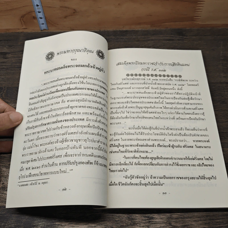เกิดเพื่อสู้...สู้เพื่อไทย รูปที่ 8