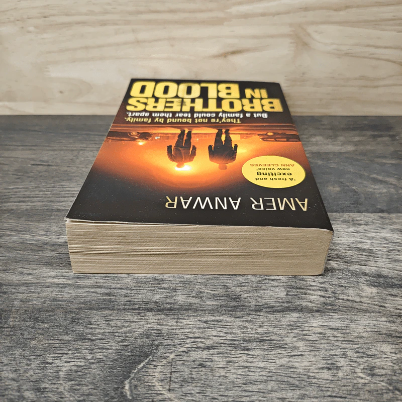 Brothers in Blood - Amer Anwar รูปที่ 4