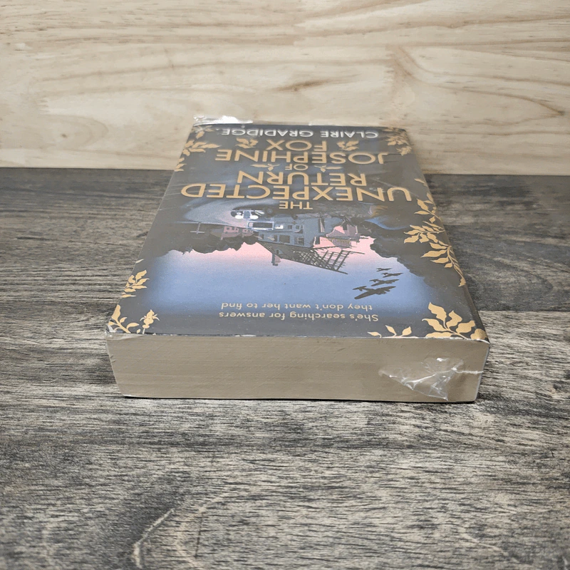 The Unexpected Return of Josephine Fox - Claire Gradidge รูปที่ 3